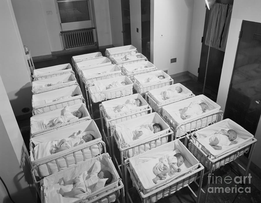 Newborn Babies In Cribs At Hospital Photograph by Bettmann
