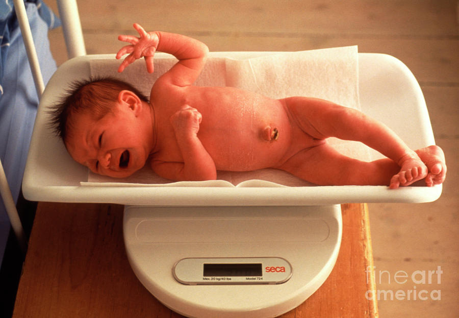 https://images.fineartamerica.com/images/artworkimages/mediumlarge/2/newborn-baby-girl-being-weighed-on-scales-ron-sutherlandscience-photo-library.jpg