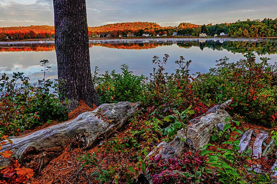 Newburyport MA Maudslay State Park Fall Foliage Sunrise Merrimack River Photograph by Toby McGuire