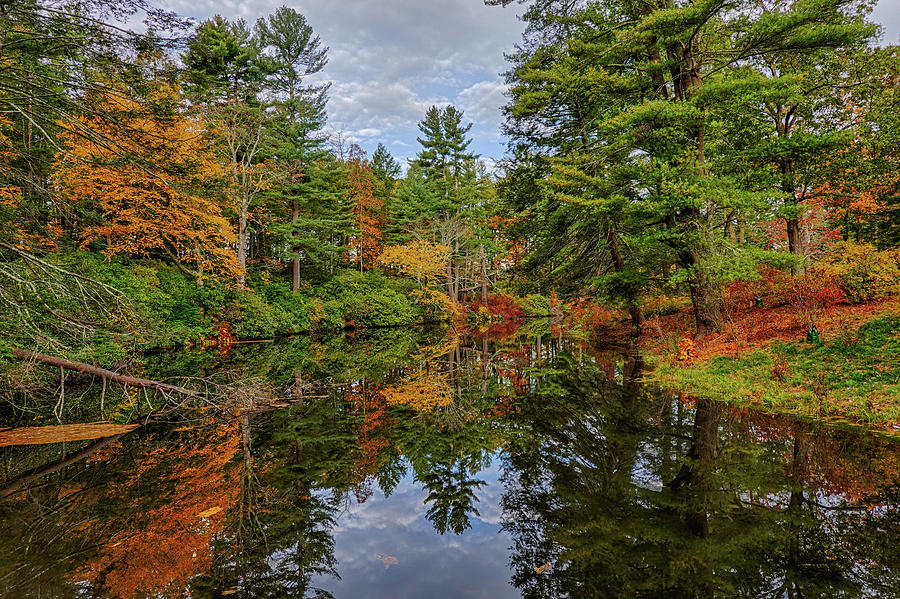 Newburyport MA Maudslay State Park Fall Foliage Trees Sunrise Merrimack River Photograph by Toby McGuire