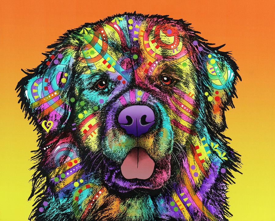 Newfie Mixed Media - Newfie by Dean Russo