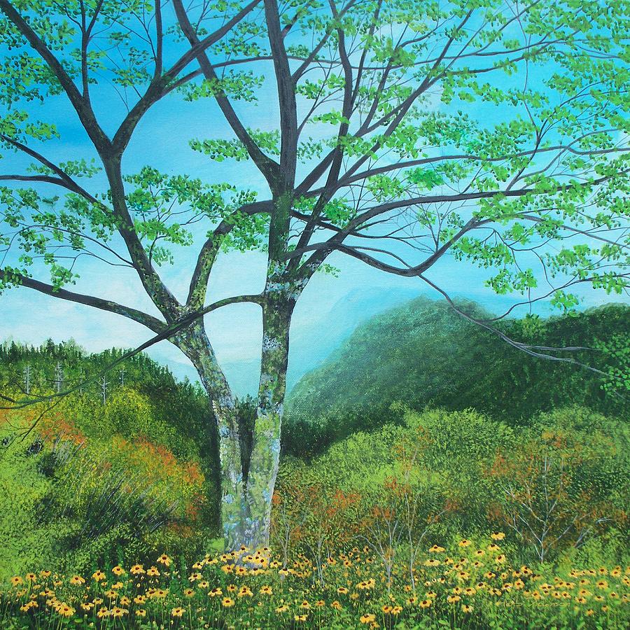 Newfound Gap Overlook, Nc Painting