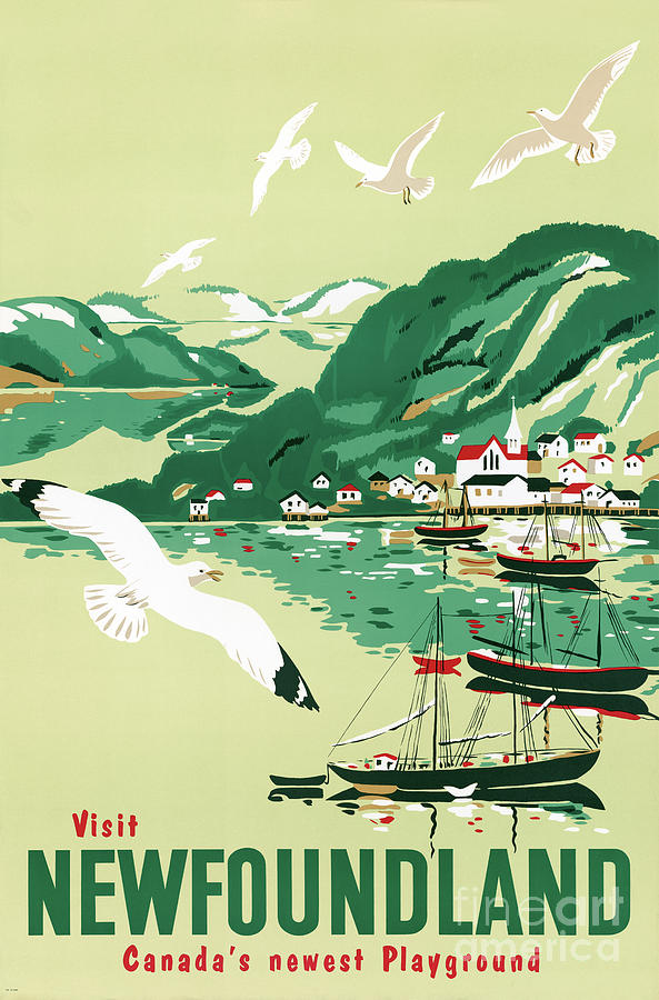 Newfoundland Vintage Travel Poster Restored Drawing