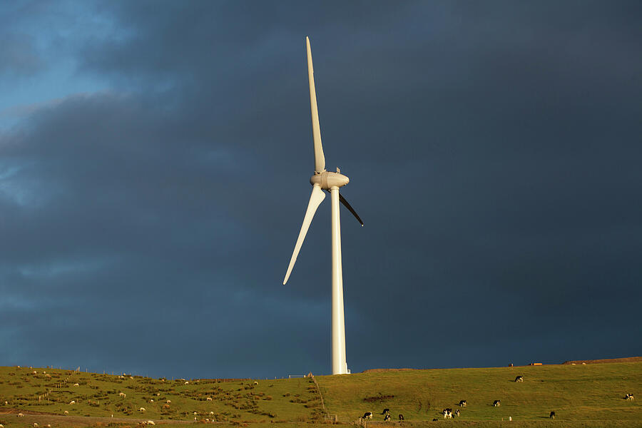 Newly Constructed Wind Turbine On Former Forestry Land Photograph By David Woodfall Naturepl 1624