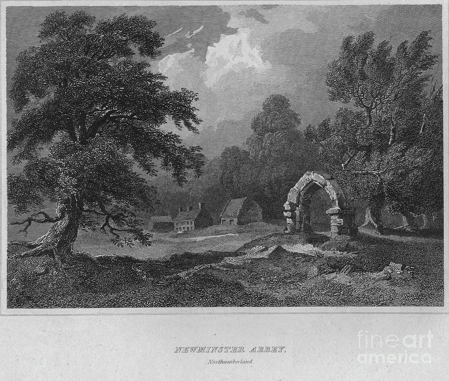 Newminster Abbey, Northumberland, 1814 Drawing by Print Collector