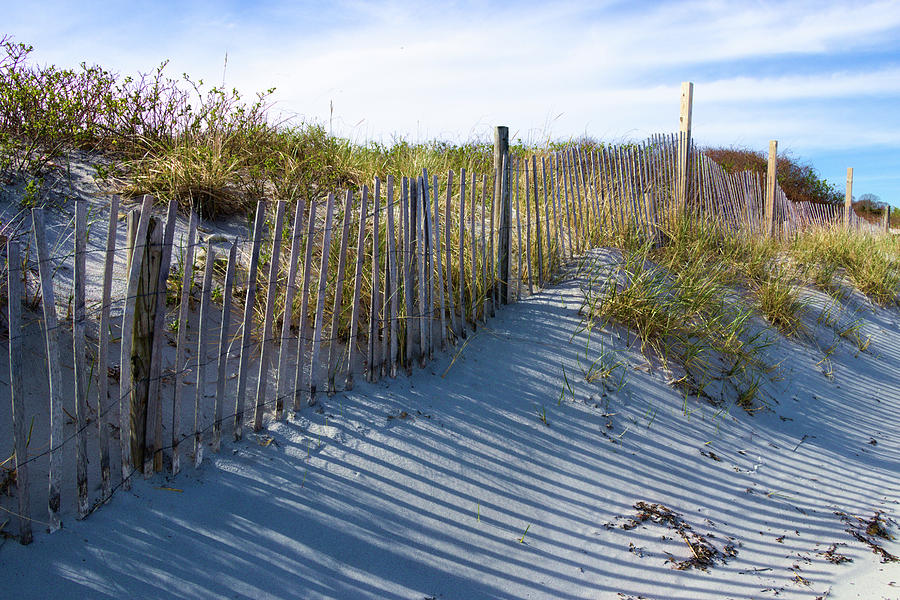 Newport RI Shoreline Sand Dune Fence Pyrography by Kris Notaro