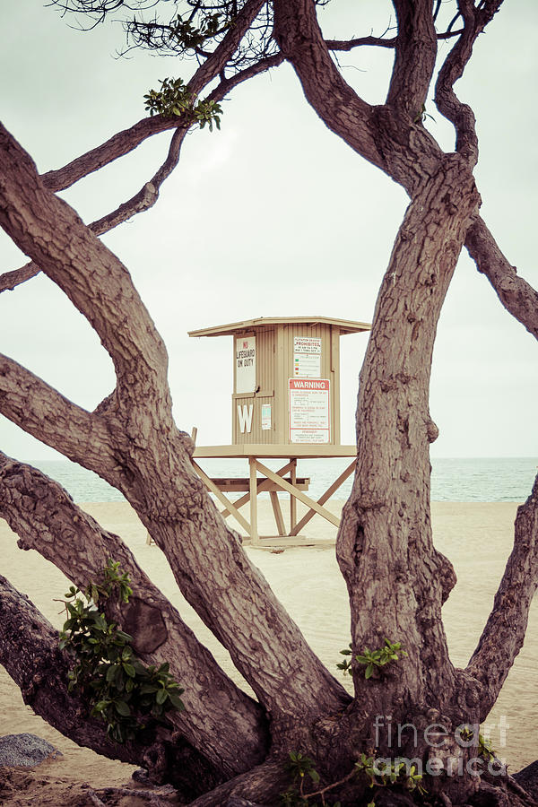 Newport Wedge Lifeguard Tower W Through Trees Photograph by Paul Velgos