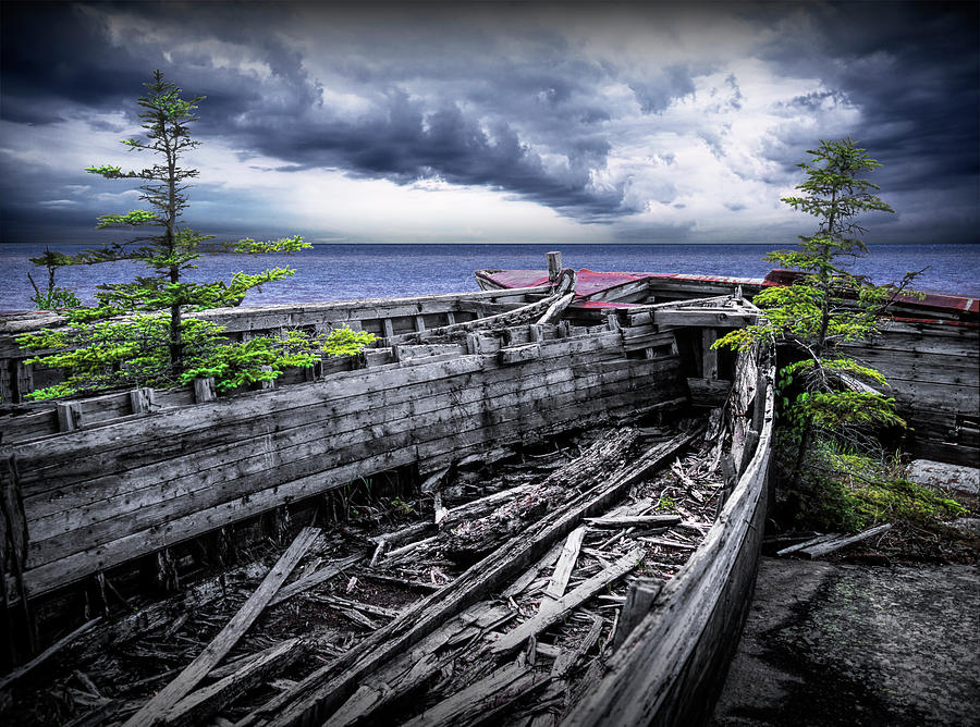 Neys Provincial Park Shipwrecks with Pine Trees in Ontario Canada Photograph by Randall Nyhof