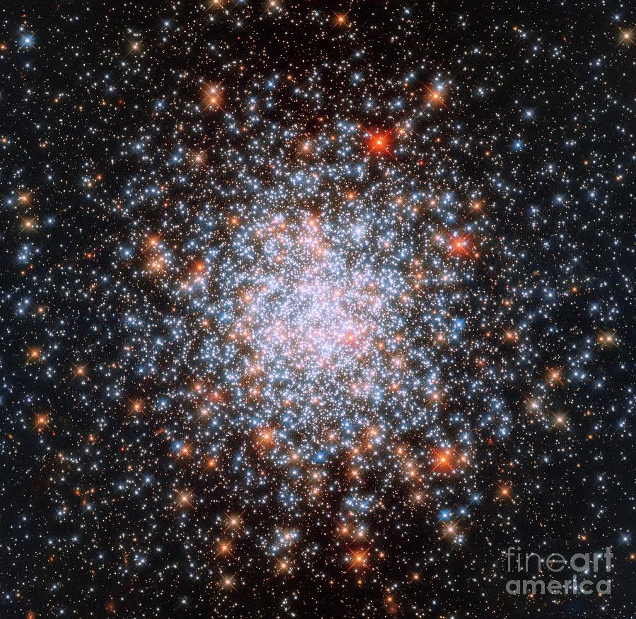 Ngc 1866 Globular Star Cluster Photograph by Nasa/esa/stsci/science Photo Library