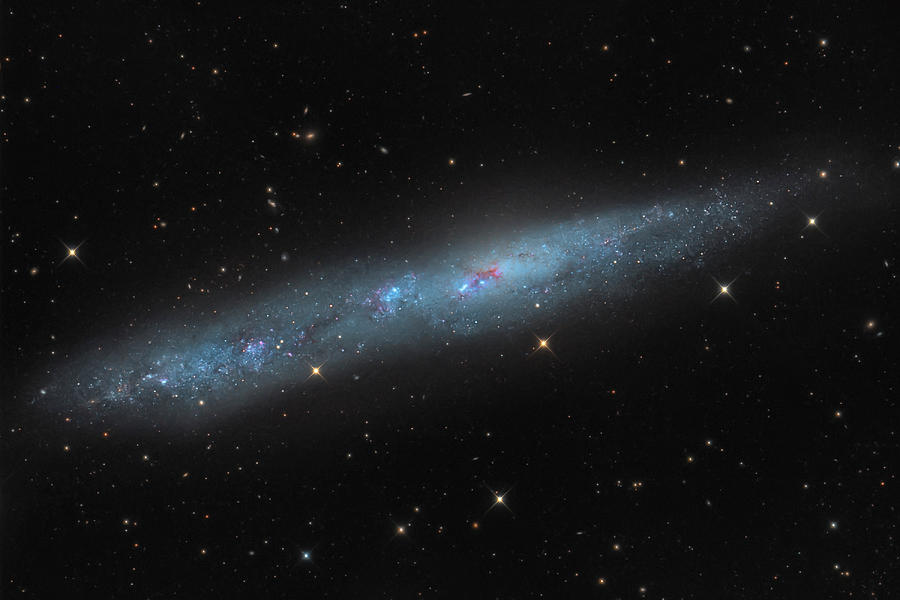 Ngc 55, A Dwarf Galaxy In Sculptor Photograph by Michael Miller