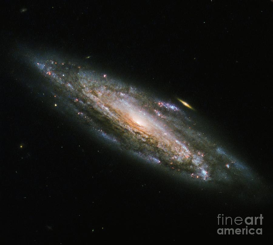 Ngc 5559 Spiral Galaxy Photograph by Nasa/esa/hubble/stsci/science Photo Library