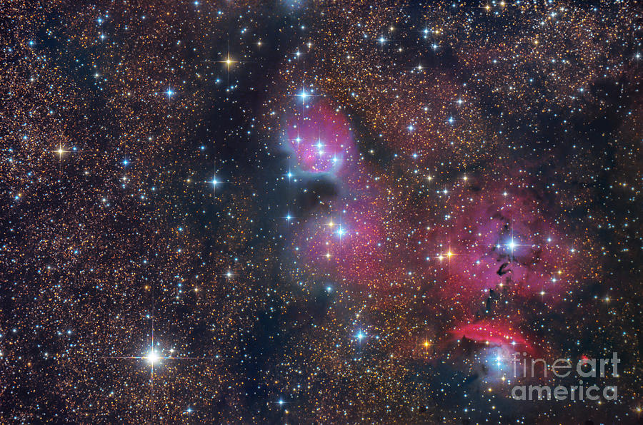 Ngc 6559 Region Photograph by Miguel Claro/science Photo Library