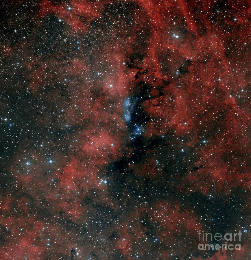Ngc 6914 Nebulae Photograph by Davide De Martin/science Photo Library