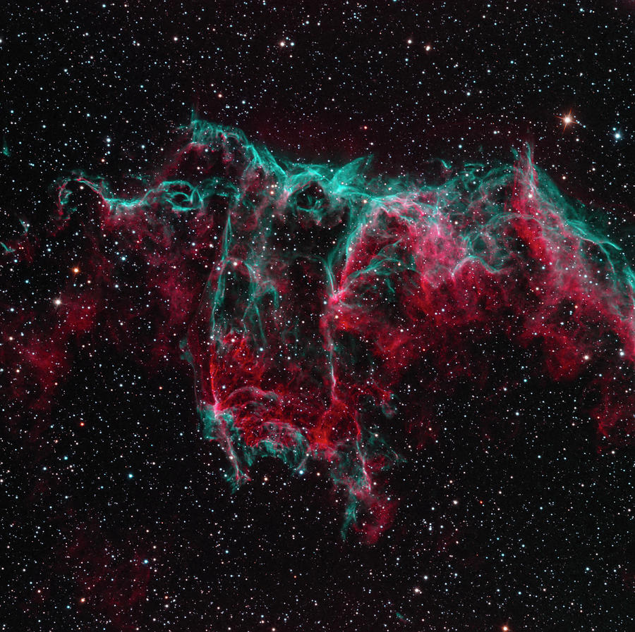 Ngc 6995, The Bat Nebula, Part Of Teh Photograph by Bob Fera/stocktrek Images