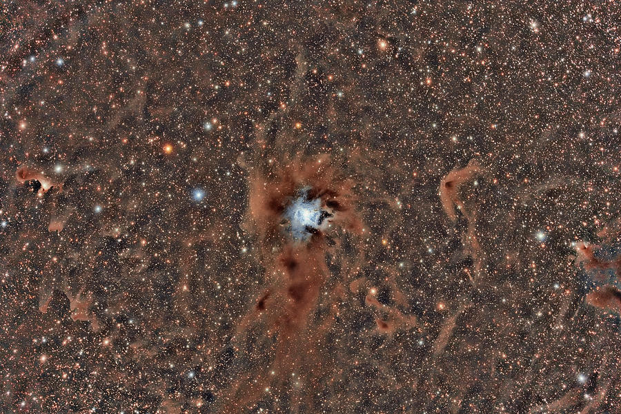 Ngc 7023 Iris Nebula Photograph by Reinhold Wittich