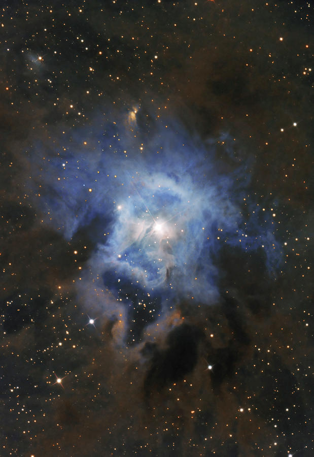 Ngc 7023, The Iris Nebula Photograph by Lorand Fenyes