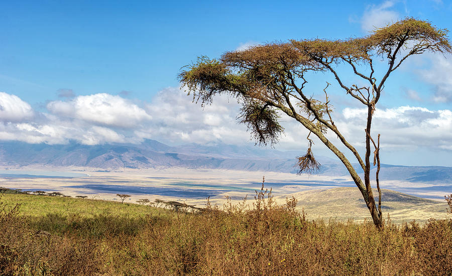 Ngorongoro Crater Photograph by Betty Eich