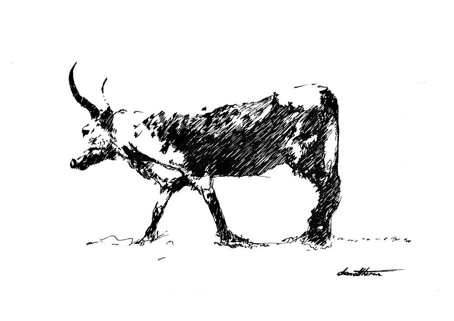 Nguni 01 by Dawid Theron Nguni 01 by Dawid Theron