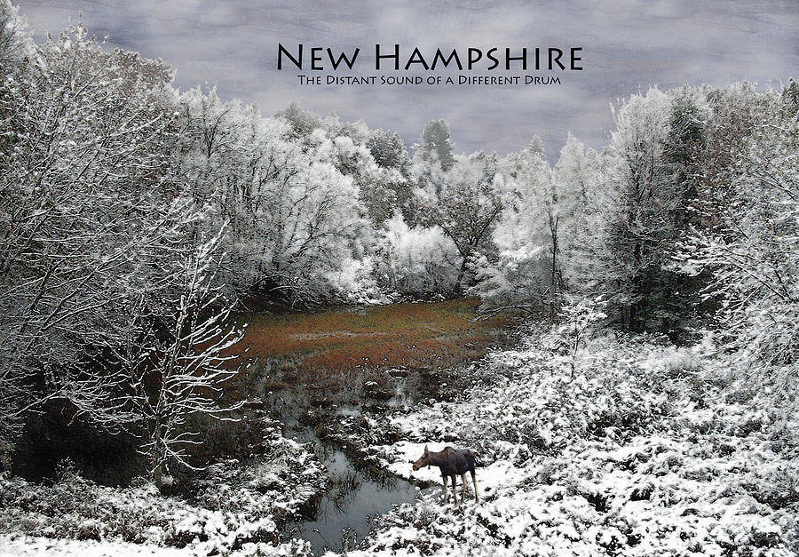 NH Different Drum Poster Photograph by Wayne King