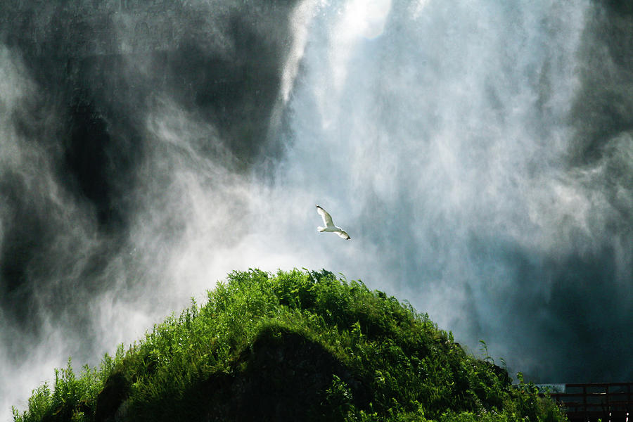 Niagara Falls #1 Photograph by Nedim Slijepcevic