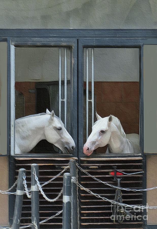 Horse Digital Art - Nice to Meet You by Diana Rajala