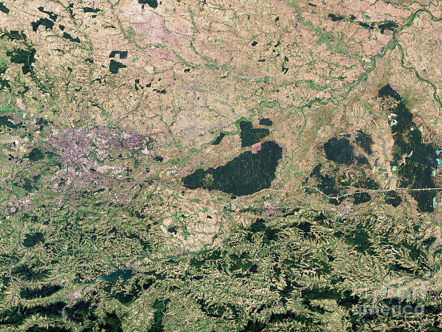 Niepolomice Forest Photograph by Nasa Earth Observatory, Robert Simmon/us Geological Survey/science Photo Library