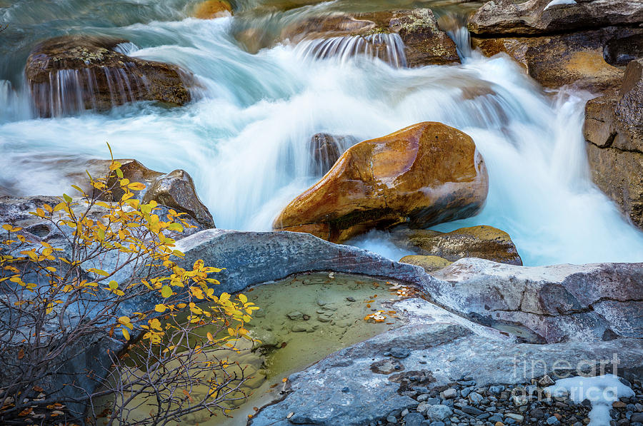 Nigel Creek Cascades Photograph by Inge Johnsson