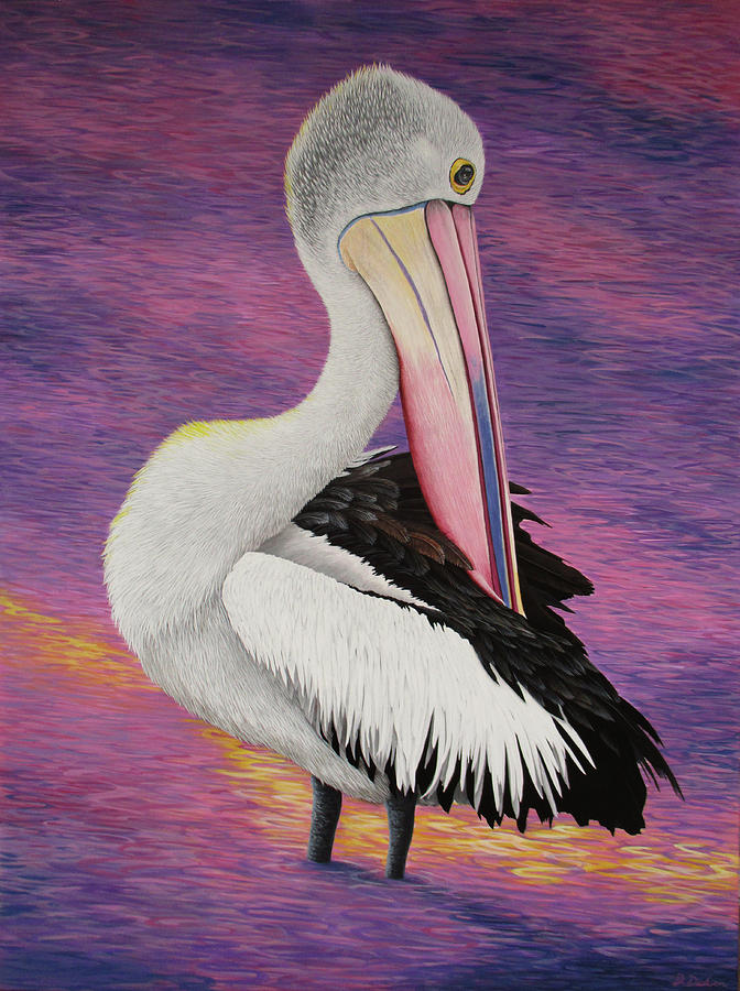 Nigel Pelican Portrait Painting