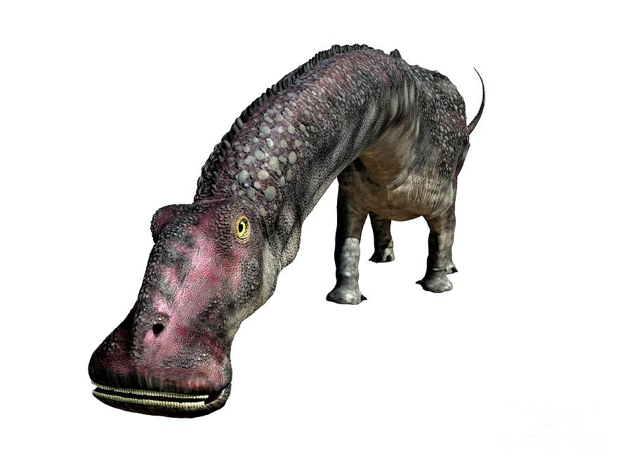 a nigersaurus