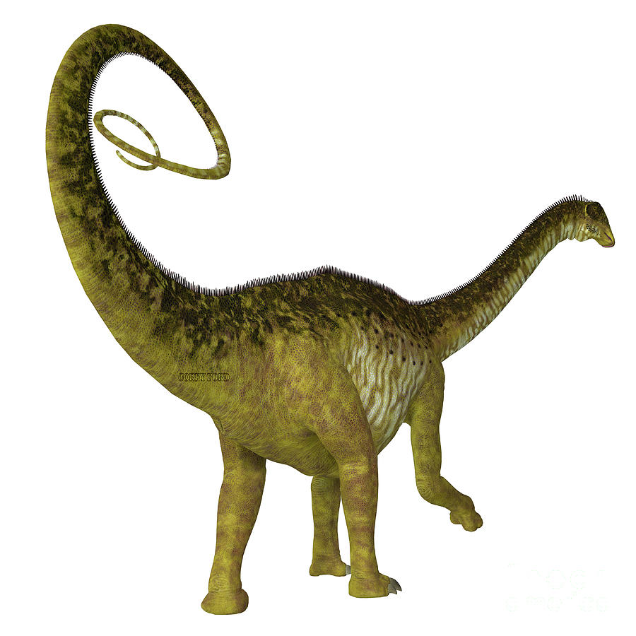Nigersaurus Dinosaur Tail Digital Art