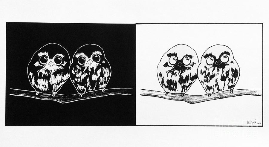 Night and Day- Baby Owls Mixed Media by Graham Wallwork