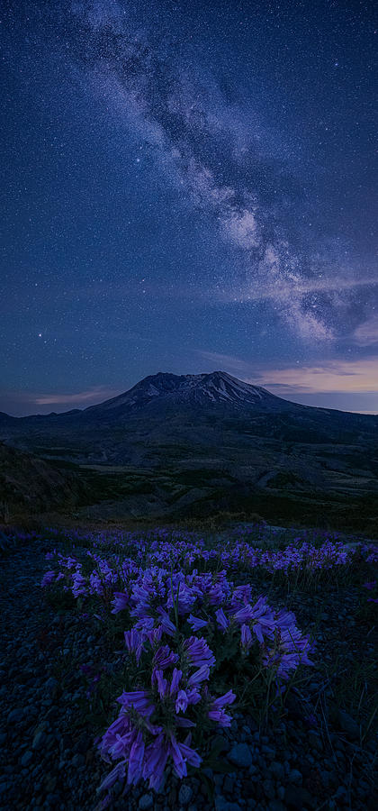 Night At Mt. St Helens Photograph by Lydia Jacobs
