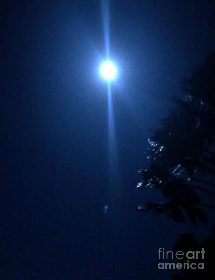 Night Before Super Moon Photograph by Karen Nicholson