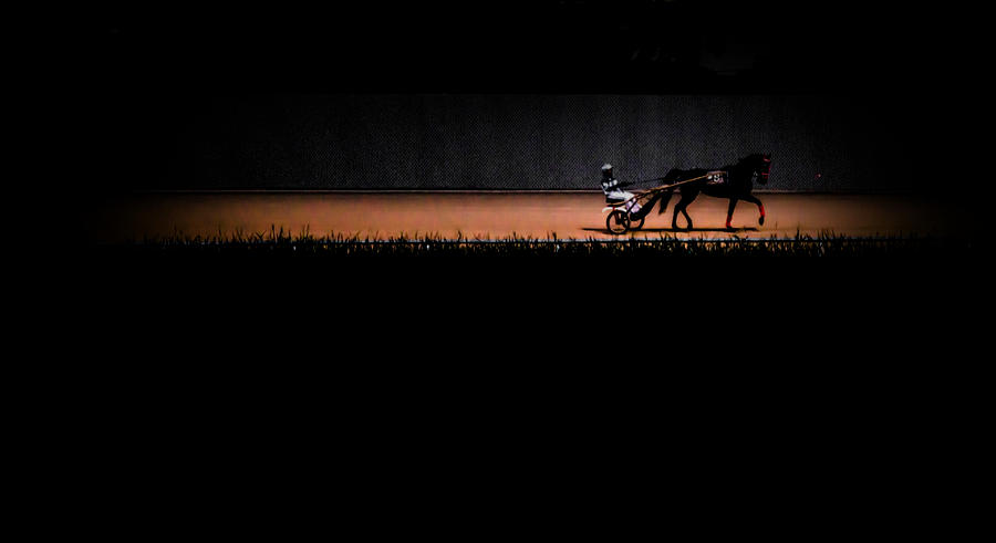 Night Harness Racing Photograph by Debra Kewley