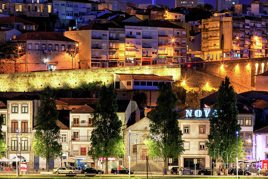 Night Lights on Avenue Diogo Pinto in Porto Photograph by John Rizzuto