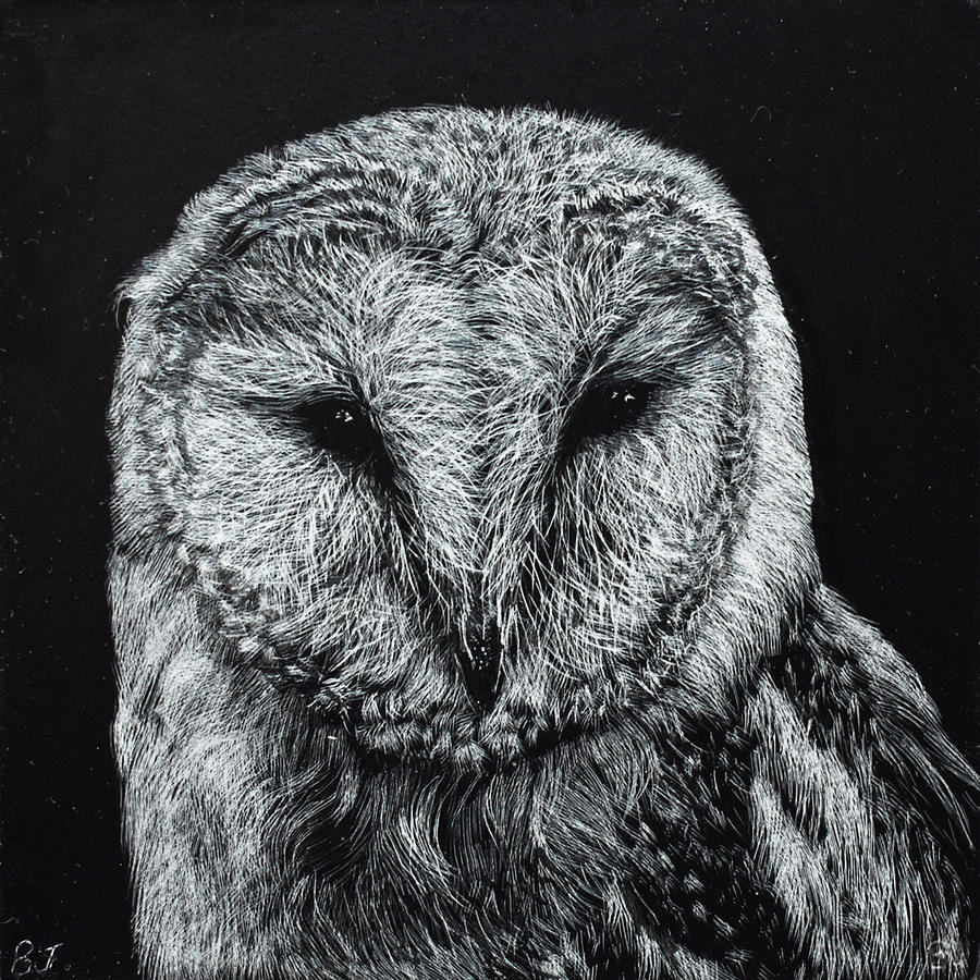Night Owl Drawing by Brittany Johnson