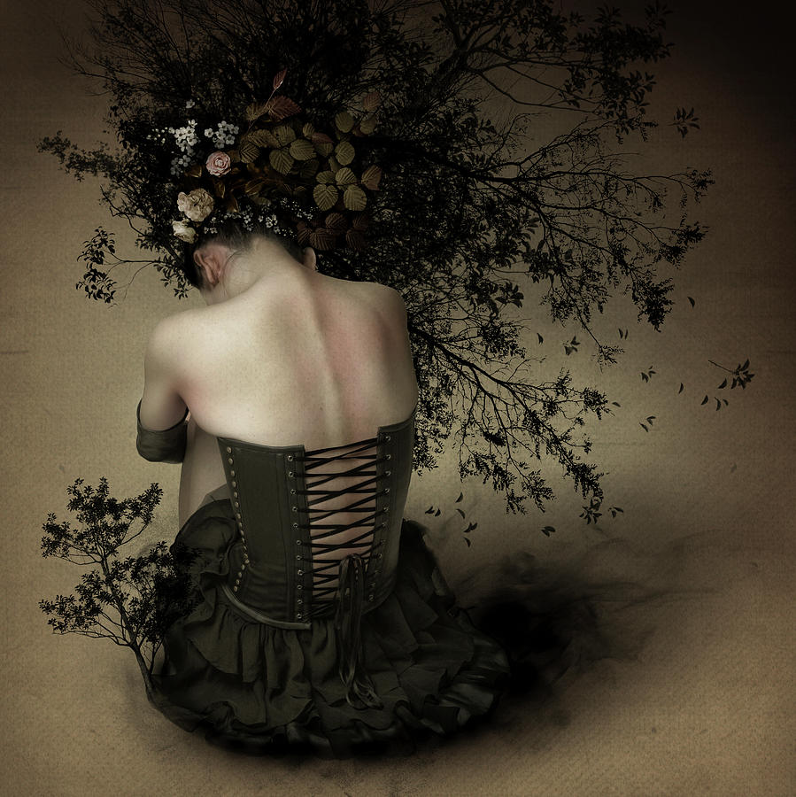 Flower Photograph - Night Scented Girl by Kiyo Murakami