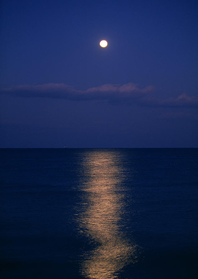 Night Sea Photograph by Imagenavi