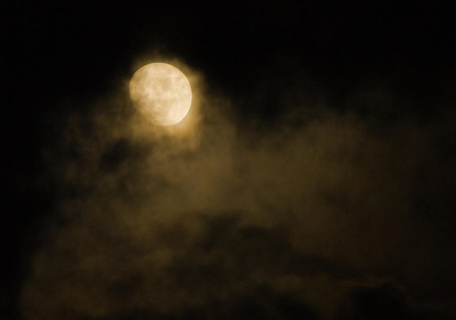 Night Sky And Full Moon Photograph by Eli asenova