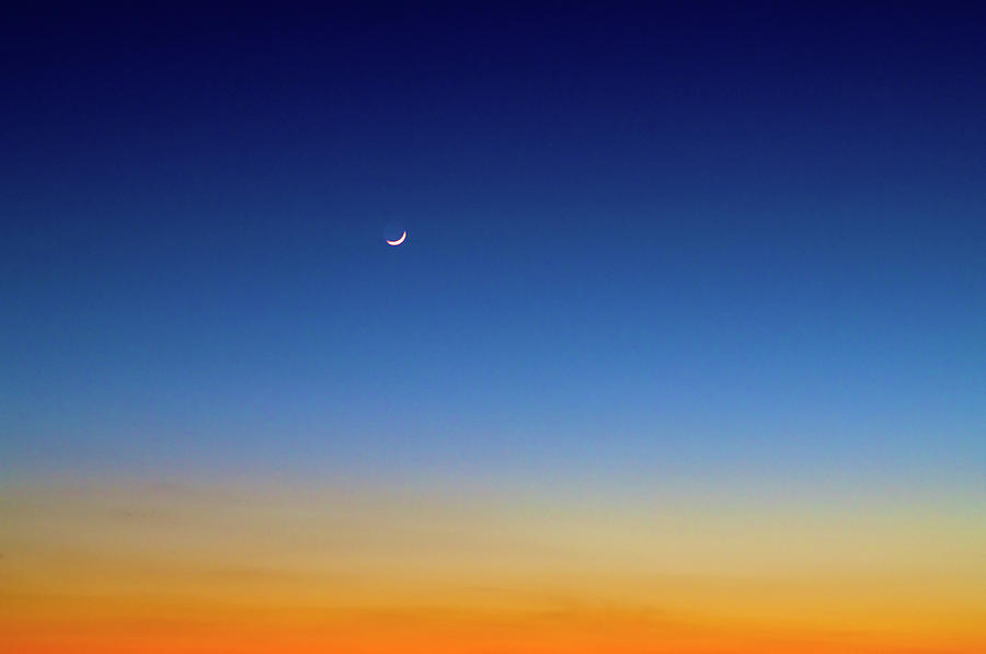 Night Sky Photograph by Lisavalder