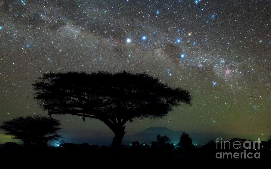 Night Sky Over Amboseli National Park Photograph by Amirreza Kamkar / Science Photo Library