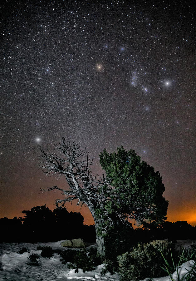 Night Sky Over Grand Canyon Photograph by James Zipp