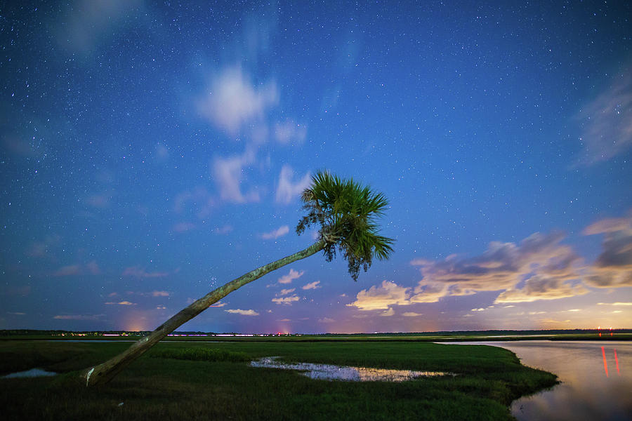 Night Sky Over St Johns River Photograph by Stefan Mazzola