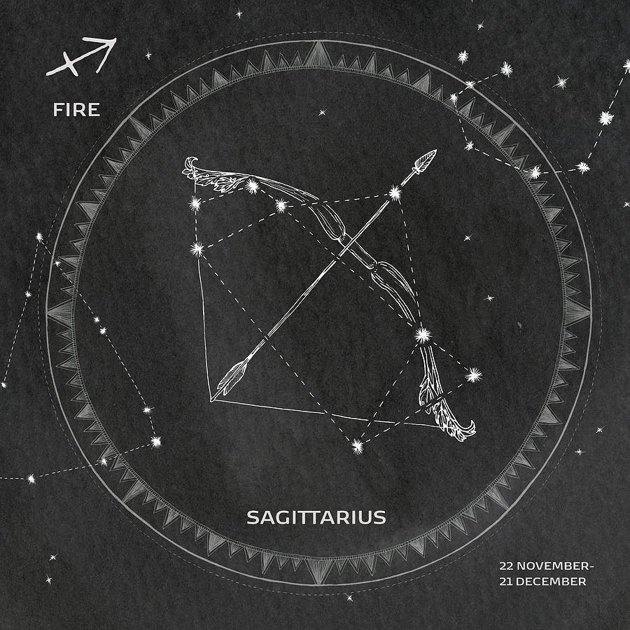 Centaur Drawing - Night Sky Sagittarius V2 by Sara Zieve Miller