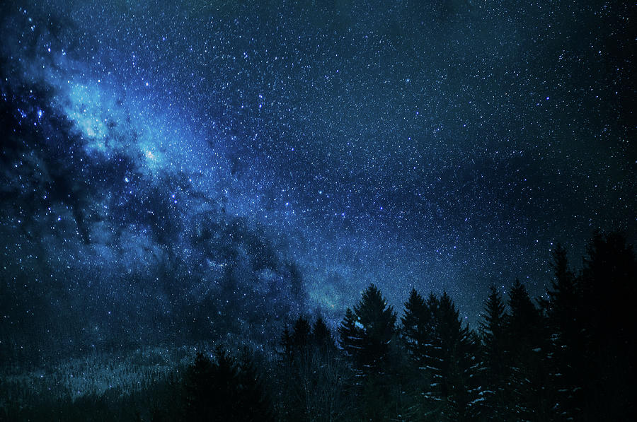 Tree Photograph - Night Sky with Myriad Stars by Jenny Rainbow