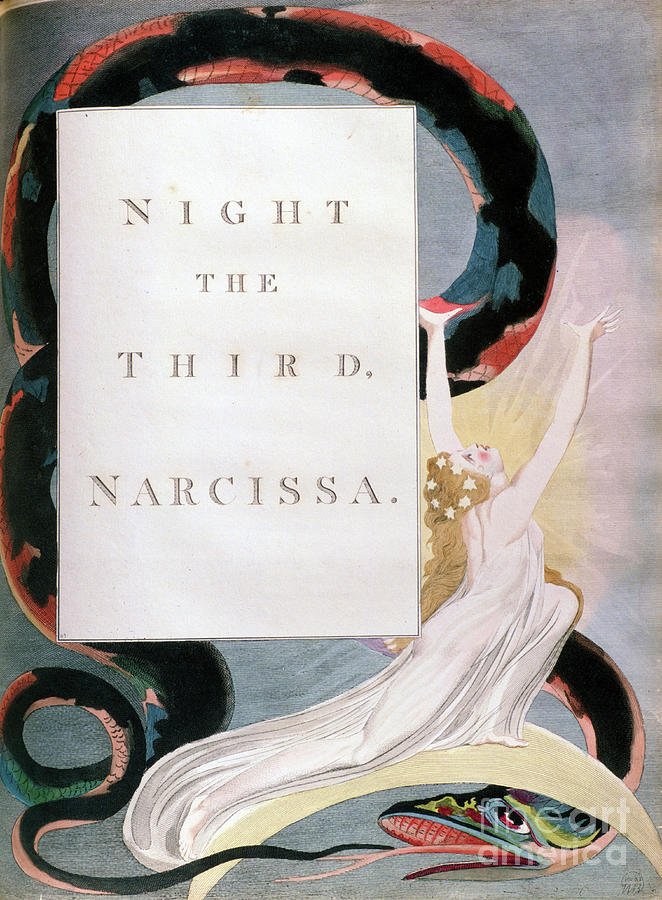 Night The Third Narcissa, Title-page Drawing by Print Collector