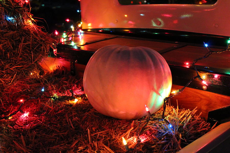 Night Time Pumpkin   Photograph by Cynthia Clark