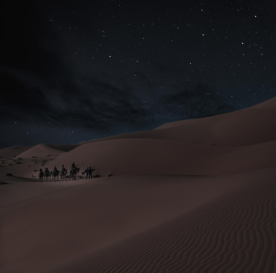 Camel Photograph - Night Under The Stars by Ambientlightphotography