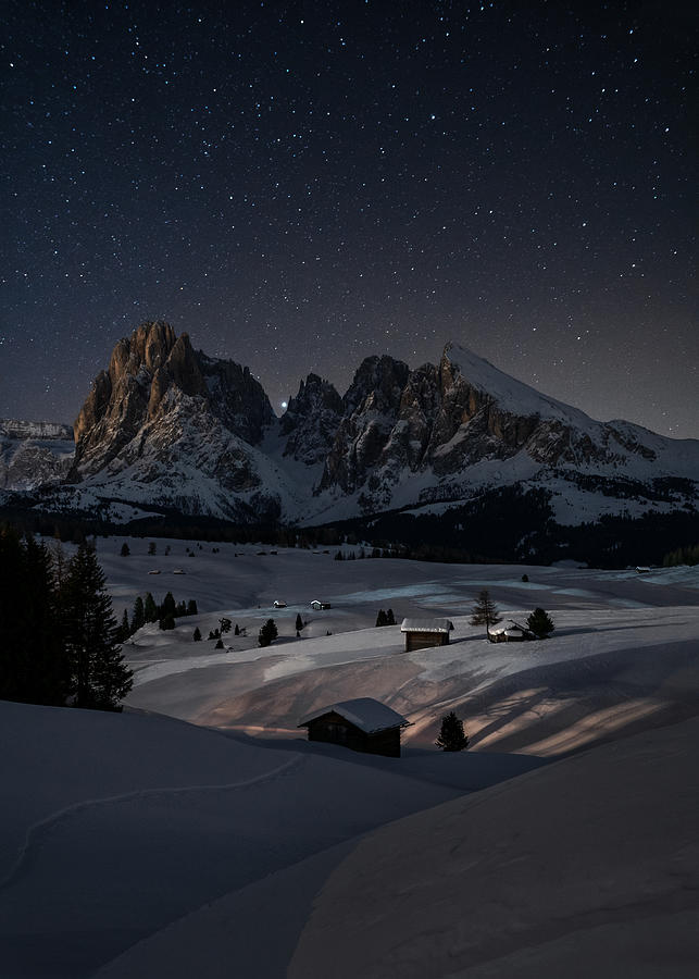 Night Photograph - Night Under The Stars by Andrea Zappia