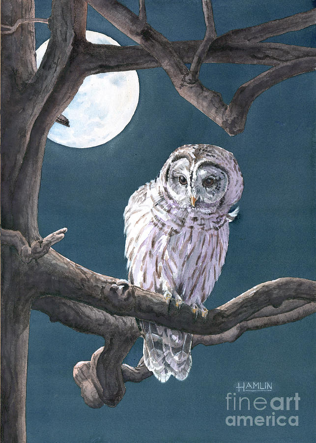 Night Watch - Barred Owl Painting by Steve Hamlin